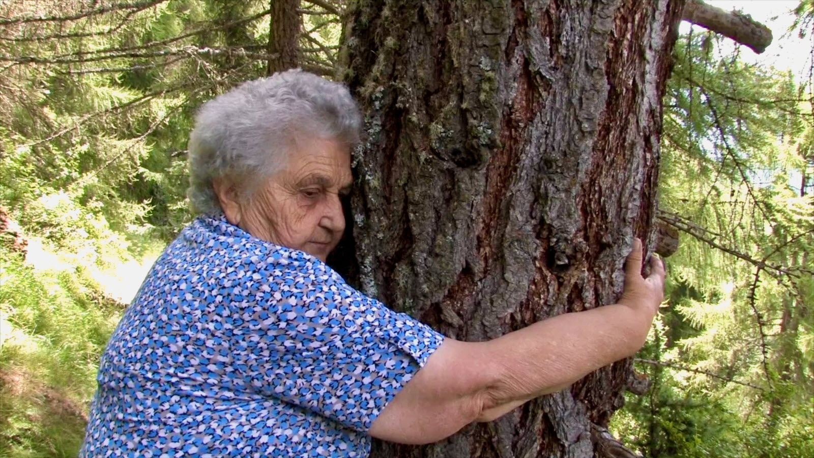 Herboriste Germaine COUSIN dans la foret.